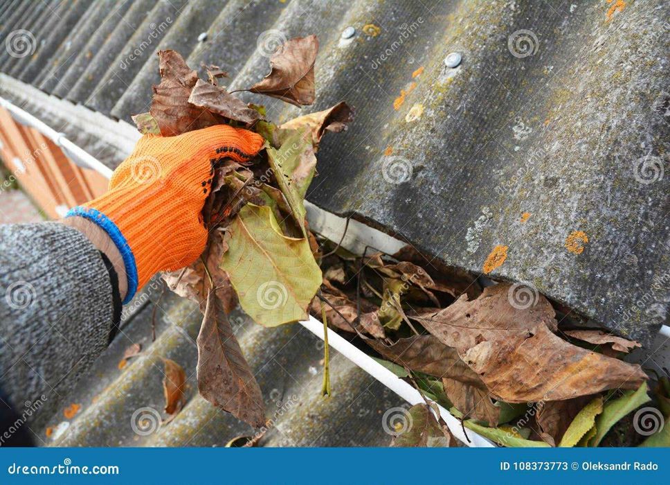 Oferim servicii despre tot c tone de gradinarit