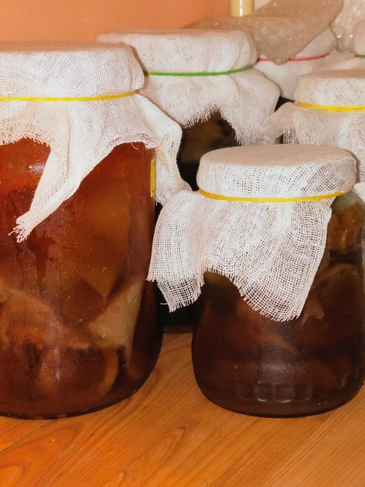 Kefir de apa de lapte Kombucha