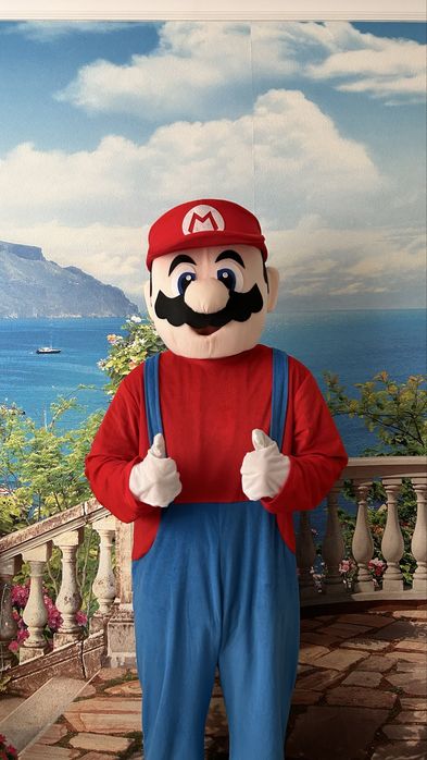 Аниматорские костюмы