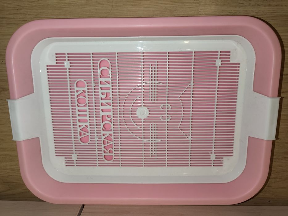 Всё для кошки. Цена за всё вместе