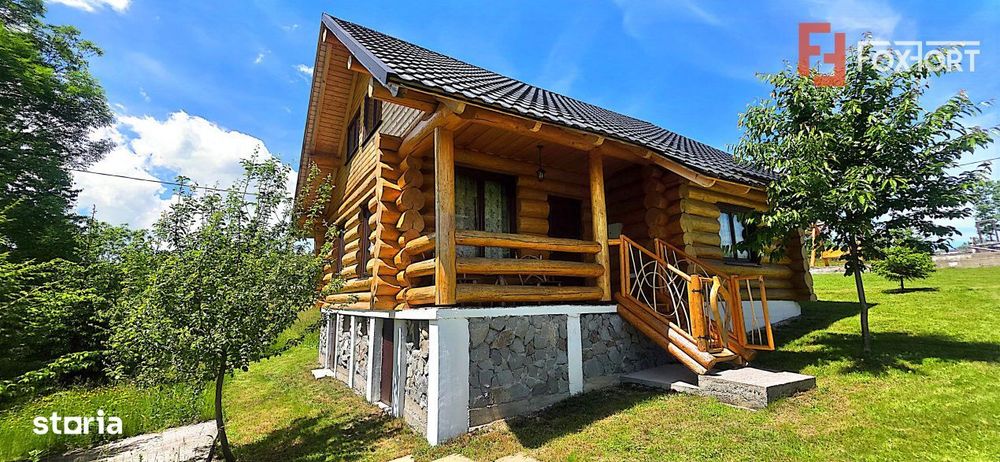 Cabana cu 7 camere de vanzare in Albac - V10073
