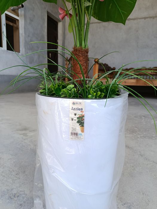 Искусственный дерево Самарканд