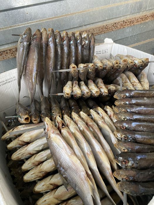 Вяленый рыбец жирный