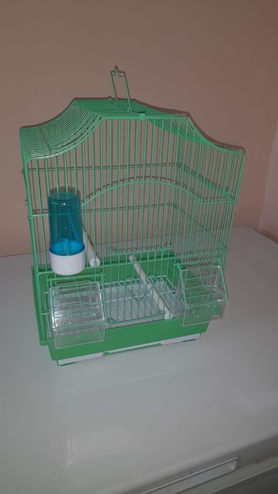 Зебровых амадин пара