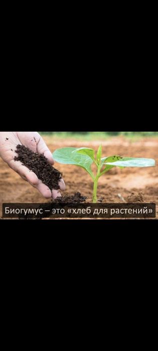 Биогумус высшего качества