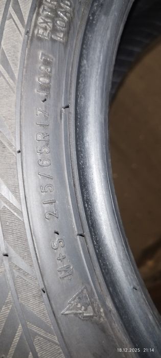 Зимние шины шипованные