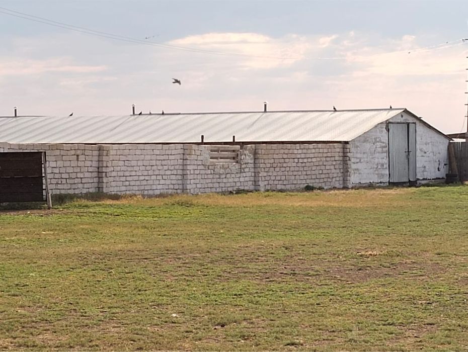 Шаруа қожалық сатылымда