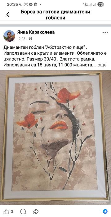 Диамантени гоблени - пълно облепяне. Размер 30/40. Рамкирани.