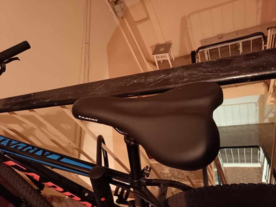 Mounrtain bike Carpat