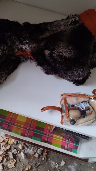 Одежда для собак