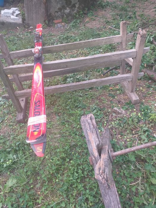 Schiuri Solomon  evulution S727