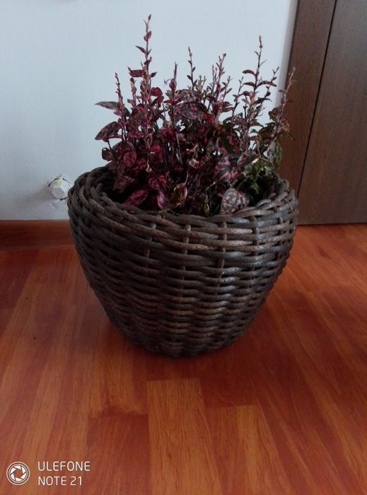 Ghiveci pentru flori