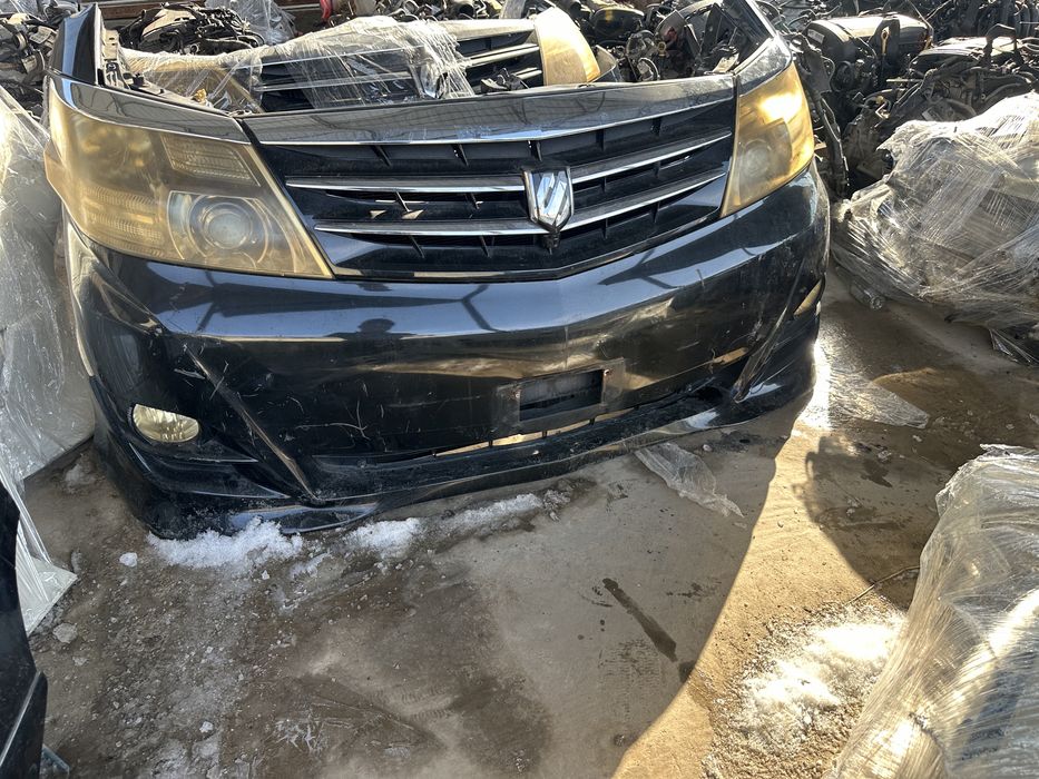 Мини морда на альфард