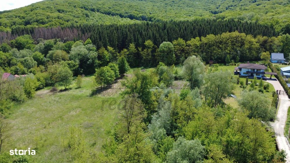 Teren intravilan | langa padure si parau | Luncani/Bacau