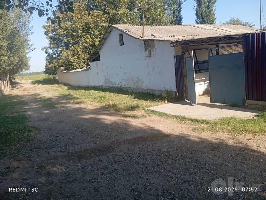 Srochni dalahovli sotiladi arzon narxda