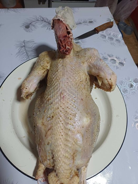 Продам мясо индюков
