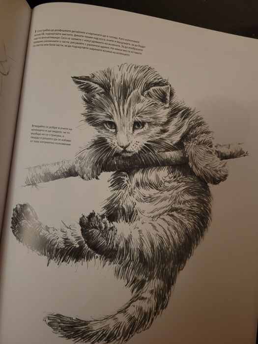 Голямо помагало по рисуване със съвети