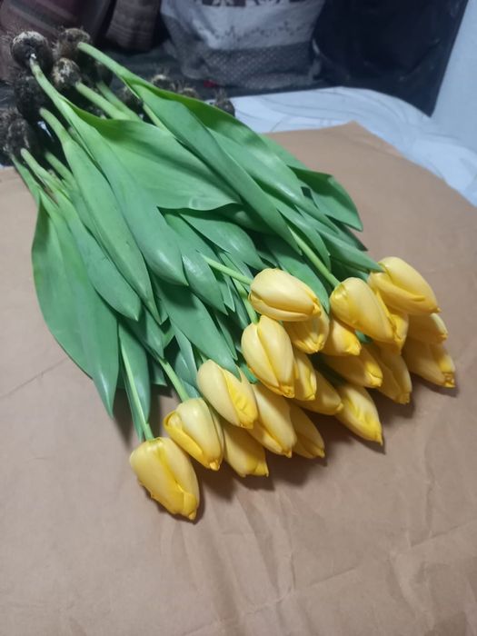 Тюльпаны Красные Желтые