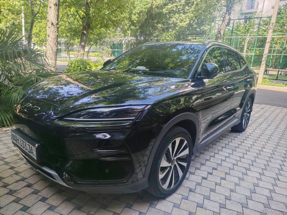 BYD Song Plus Champion Edition 2024 — 2