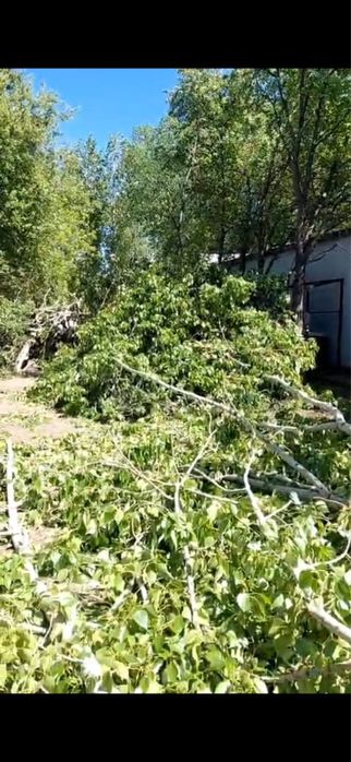 Драва самовывоз р-н Евразия бесплатно