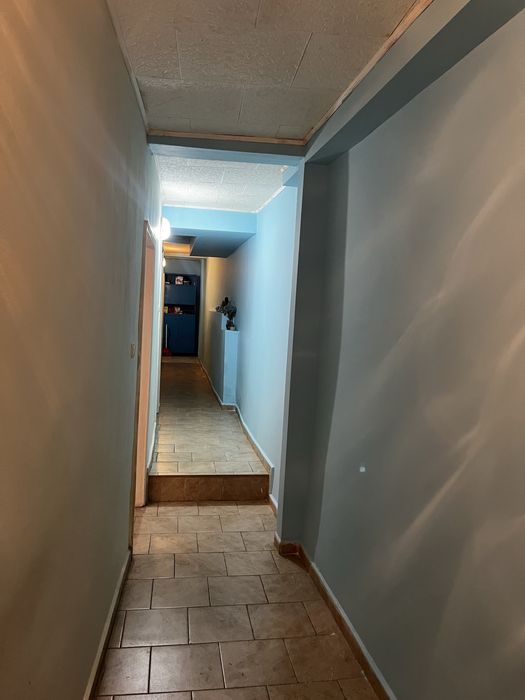 Давам стая под наем