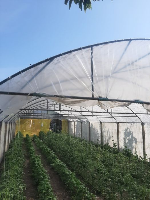 Продавам оранжерия.