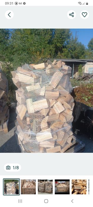 Vind lemn de foc fag  la palet