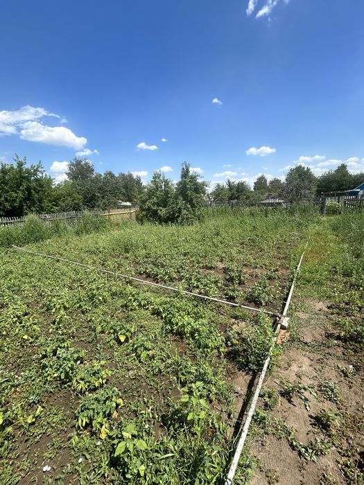 Продам дачу сад «Здоровье»