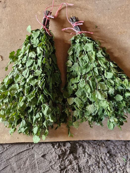 Продам берёзовые веники