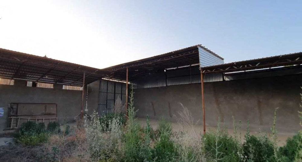 Назарбек РыбХоз ховли сотилади