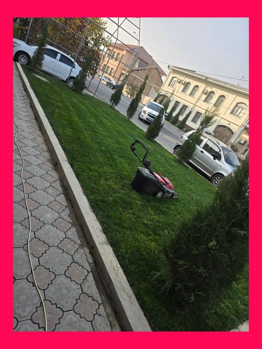 Газон стрижка gazon orish xizmati