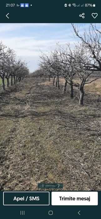 Toaletare pomii arbusti vita de vie  si stropirea acestora