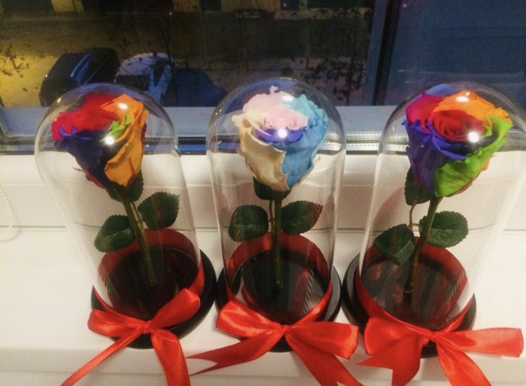 Cupola cu trandafiri conservati criogenati