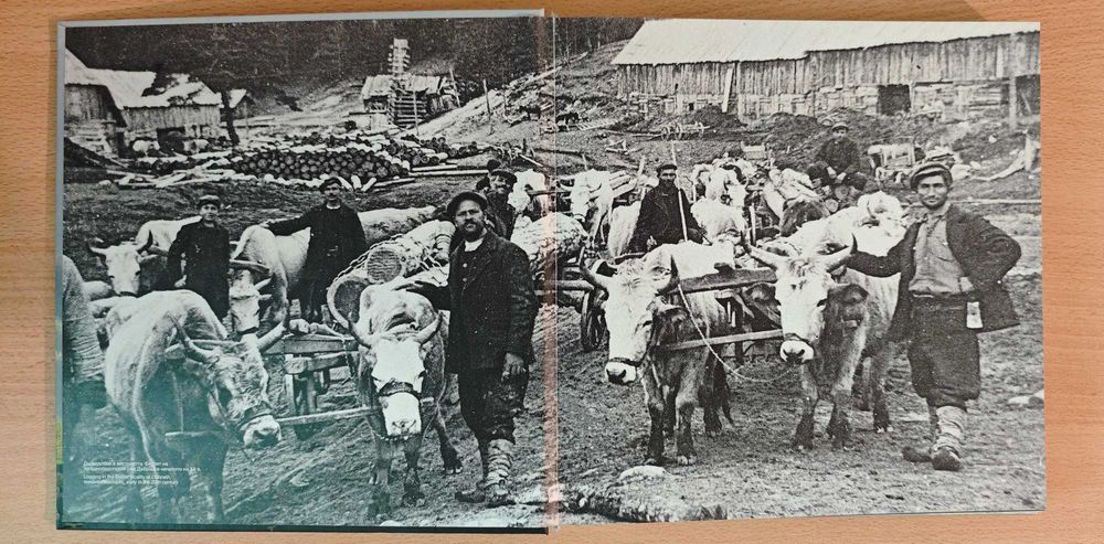 Книги - Мисленето, Родопи - Свещената планина, Отключи ума си: Стани гений!