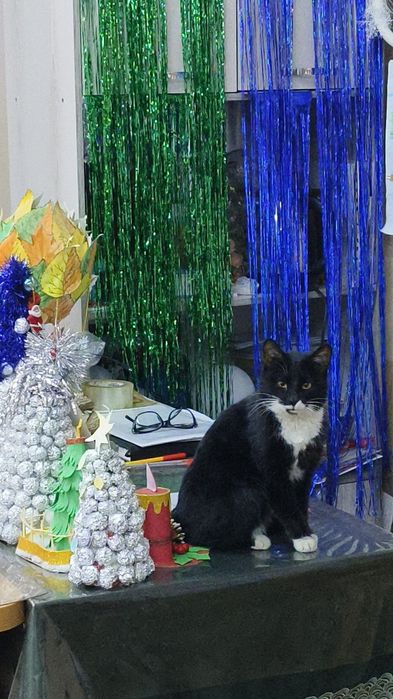 Отдам в хорошие руки