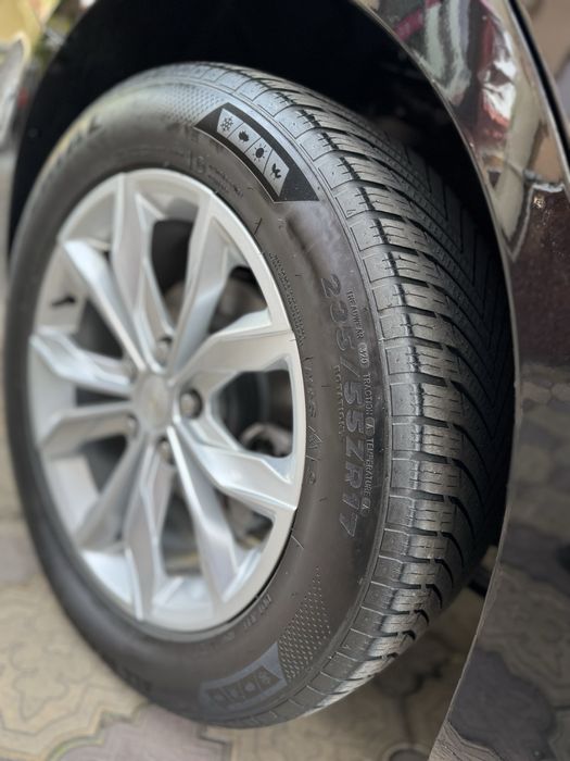 Other Malibu 2018 — 10