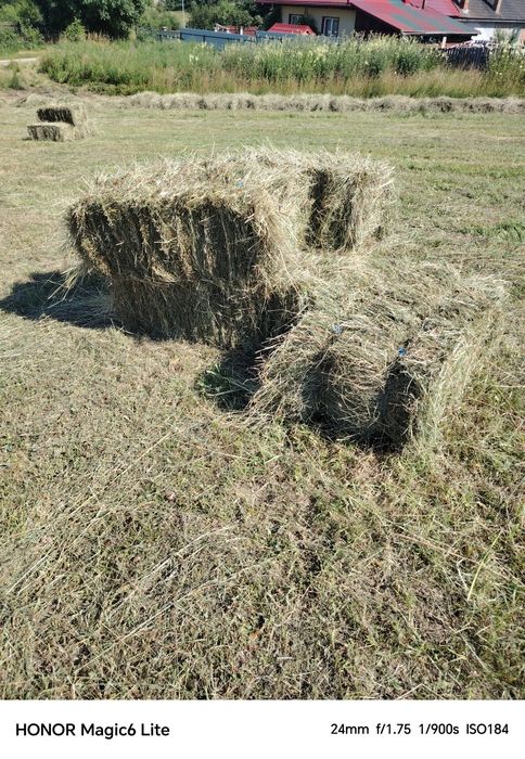 Baloți de fân de vânzare