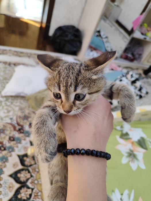 Mashhurlar bilan jinsiy aloqa