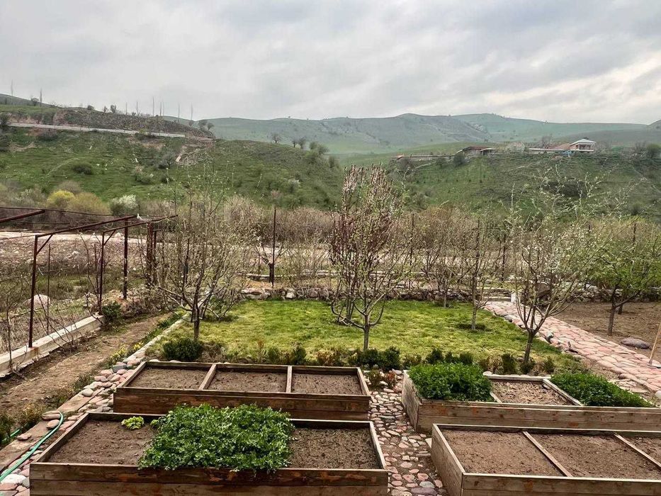 Продается дача срочно! Напишите в телеграм скину видео дачи.