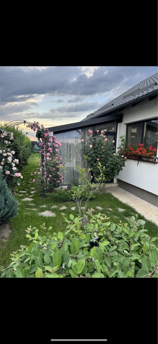 Casa de vanzare Magura