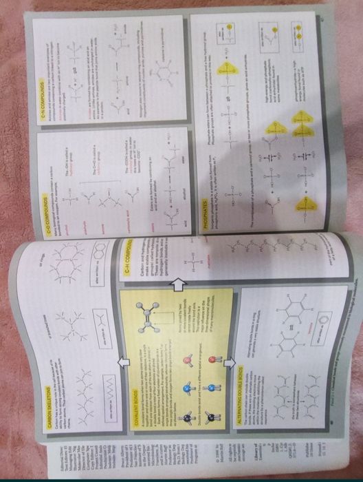 Essential cell biology,Учебник молекулярна  биология (английски език)