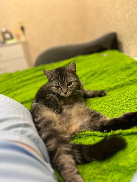 В хорошие , добрые руки