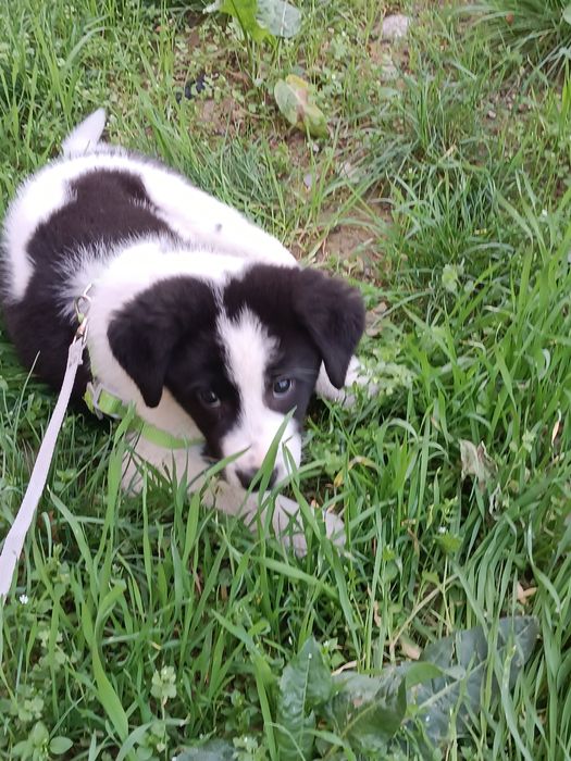 Только в ответственные руки!