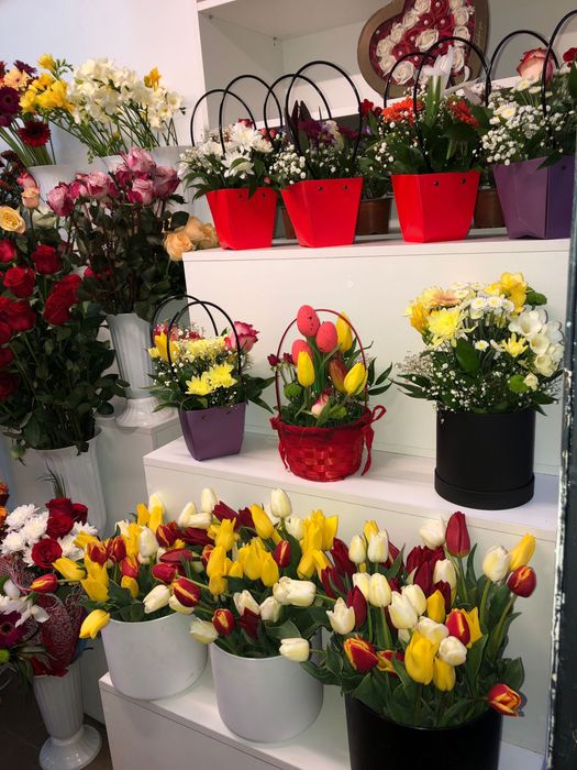 Vand mobila florarie