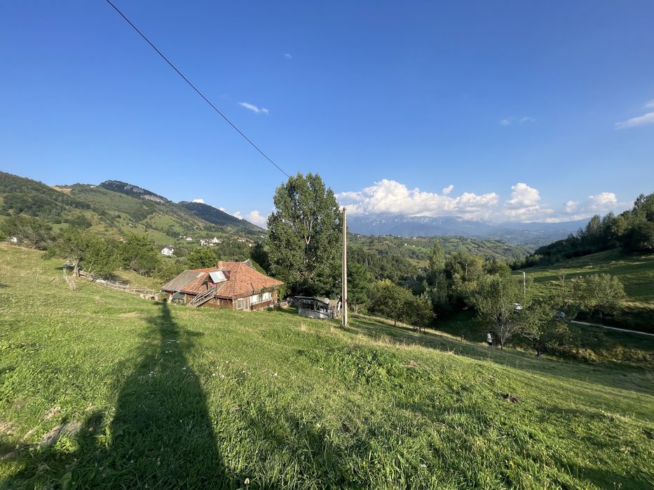De Vânzare: Teren Panoramic de 12.009 mp la Drumul Principal în Măgura (Moeciu) – Ideal Complex Turistic / Pensiune / Cabane