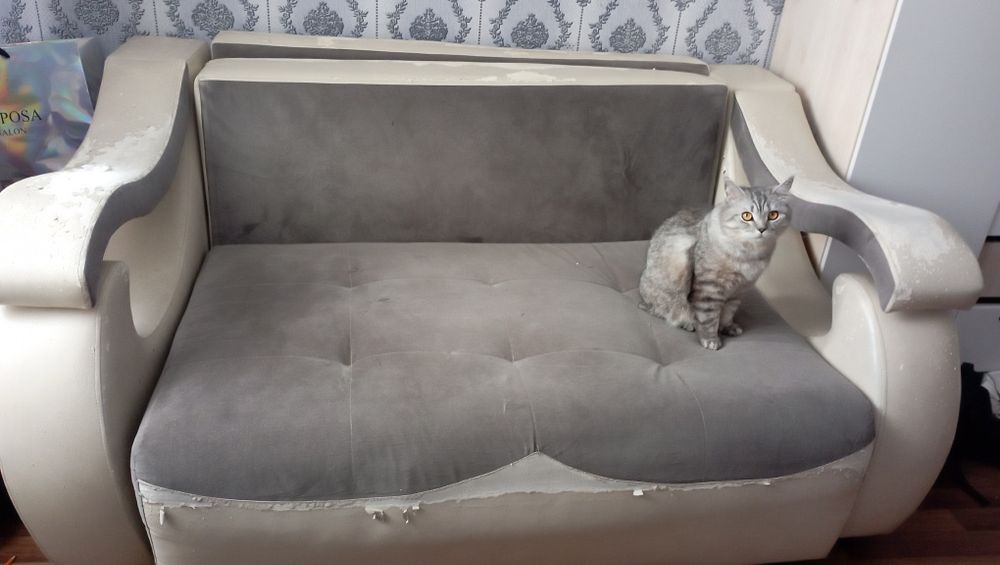 Отдам диван бесплатно