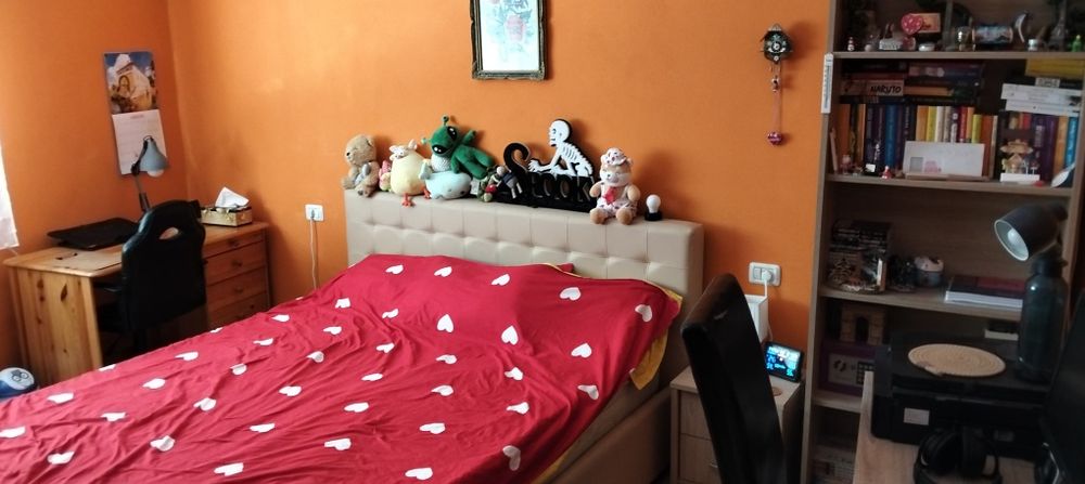 Vand casa în Vlaicu