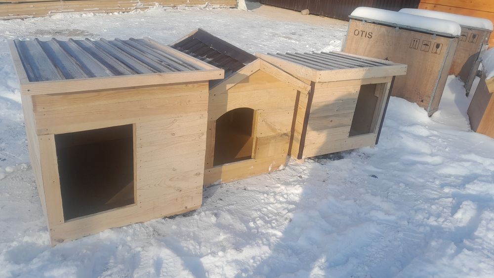 Собачье.     будка