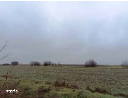 Teren extravilan cota parte 1/5 Murfatlar, ID: R2982571