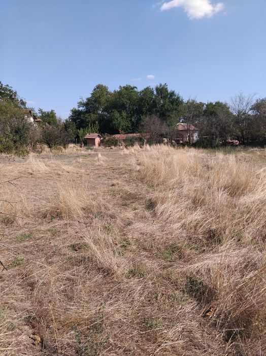 Продава се Парцел в Левски - 2000 кв.м за 1 €/кв.м - Снимка #1